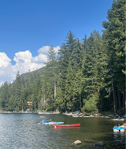Pinecrest
